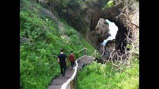 The most beautiful walk in the world  Knysna Featherbed Eco Experience [upl. by Namya]