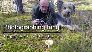 Photographing fungi together with Bruc [upl. by Odlanyer]