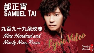 九百九拾九朵玫瑰 999 Roses  邰正宵 Samuel Tai  Chinese  Pinyin  English Lyrics 歌詞 [upl. by Aciemaj]