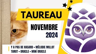 ♉️ TAUREAU • NOVEMBRE 2024 • Y a pas de hasard 😉 • LE TAROSCOPE DU MOIS [upl. by Eiclehc394]