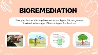 Bioremediation  Environmental microbiology [upl. by Nerdna]