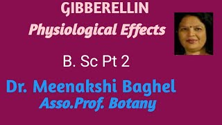 Gibberellins Physiological Effects [upl. by Mima]