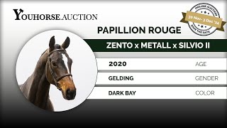 Papillion Rouge IN THE ‘WINTER EDITION” YOUHORSEAUCTION UNDER THE SADDLE NOVEMBER 30  DECEMBER 3 [upl. by Grous]