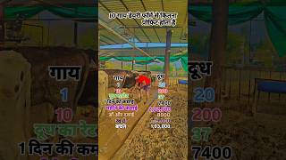 Dairy farm profit 10 gayon se Kitna profit hota hai how to setup in new dairy farmshorts cows [upl. by Northway]