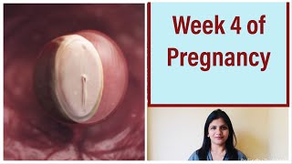 Week 4 of Pregnancy  Weekly Pregnancy Tips in Kannada 1st Month of Pregnancy [upl. by Anitsirhcairam]