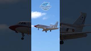 Spanish 🇪🇸 Air Force Dassault Falcon 900B landing at Lisbon Airport [upl. by Sparrow894]