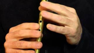 Paddy Clancys Jig  Tin Whistle Lesson [upl. by Slemmer]