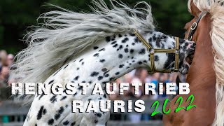 Hengstauftrieb Rauris 2022 [upl. by Bastien]