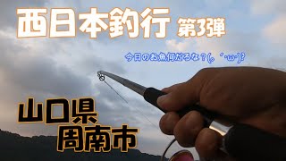 西日本釣行！ 第3弾▽ 【山口県周南市 戸田】 [upl. by Arinayed]