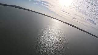 East Australian Waterbird Survey Day 2 2nd October 2024  Lake Weyba [upl. by Neilson]