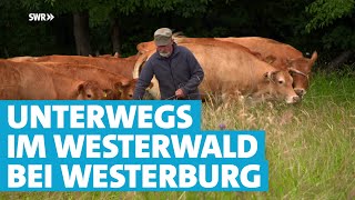 Einfach kann jeder – Der Westerwald rund um Westerburg [upl. by Seema]