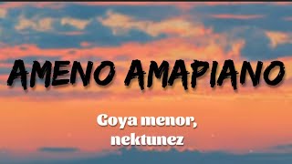 Goya menor amp Nektunez  Ameno amapiano remix Lyrics  traduction Française [upl. by Tenneb866]