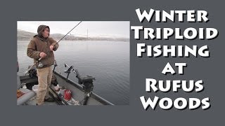 Winter Triploid Fishing at Rufus Woods [upl. by Hnid]