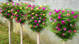 How To Make A Great Vertical Garden For A Small Garden With Plastic Bottles [upl. by Anol]