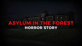 Asylum in the Forrest [upl. by Aicelaf]