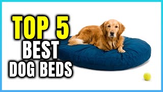 Top 5 Best Dog Beds for Puppies  Extreme Reviewer [upl. by Nauj]