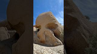 Traipsing Around Skull Rock Joshua Tree [upl. by Tully71]