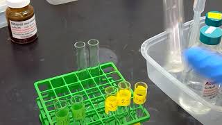 Experiment 20 Aldehydes and Ketones Bisulfite test [upl. by Oirramaj]