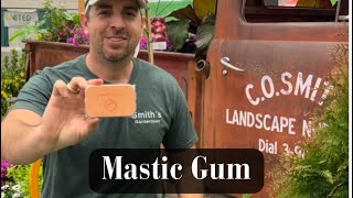 Mastic Gum [upl. by Drexler420]