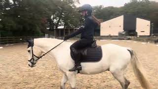 Erider dressage test novice 3a [upl. by Bari]