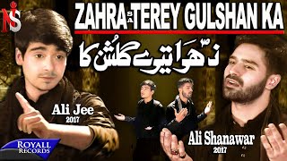 Ali Shanawar amp Ali Jee  Zahra Terey Gulshan Ka  2017  1439 [upl. by Fosdick]