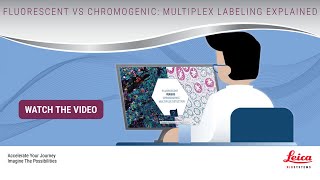 Fluorescent vs Chromogenic Multiplex Labeling Explained [upl. by Dawson]