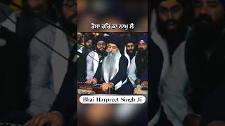 Akj Waheguru Moments  Bhai Harpreet Singh Ji Toronto [upl. by Ecnahoy]