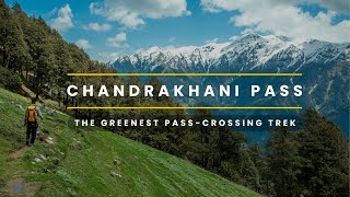 Chandrakhani Pass  A Stunning PassCrossing Trek Near Manali  Green Forest  Secluded  Indiahikes [upl. by Ninon]