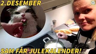 PUS FÅR JULEKALENDER OG HANDLETUR Vlogmas 02 [upl. by Charmaine]