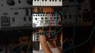 behringer Crave amp Td3mo patching test [upl. by Okuy587]