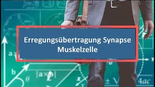 Erregungsübertragung Synapse Muskelzelle [upl. by Sidonius]