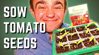 How To Sow Tomato Seeds To Maximise Germination [upl. by Airres]