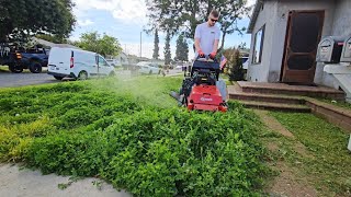 OVERGROWN Lawn INFESTED With Clover Gets A Satisfying CLEANUP [upl. by Donia]