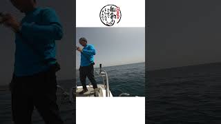 春にジグに乗って来たのは… 釣り fishing スーパーライトジギング [upl. by Einahpetse880]