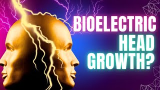 From One Head to Two The Fascinating Role of Bioelectricity in Regeneration [upl. by Aiek198]