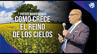 Como crece el reino de los cielos  Pastor Mario Ibarra [upl. by Sinclair172]