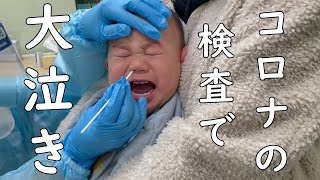 【濃厚接触者になった赤ちゃん。抗原検査で大泣き😥】赤ちゃん1歳9ヶ月 [upl. by Nna]