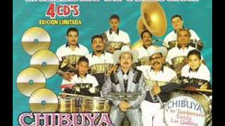 BANDA CHIBUYA de Jerez Zacatecas  MIX DE ZAPATEADOS [upl. by Lucier]