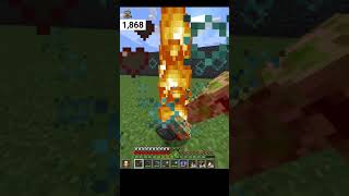 Final fight the end Defeat wither in  minecraft hardcore  minecraft shorts [upl. by Atterual]