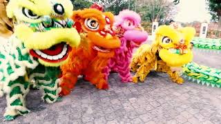 film barongsai Liiongxhi movie part 1 [upl. by Eleonore889]