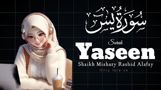 surah yaseen by mishary rashid alafasy  Mishary Rashid Alafsay Surah Yaseen  Mishary Rashid Quran [upl. by Anila19]