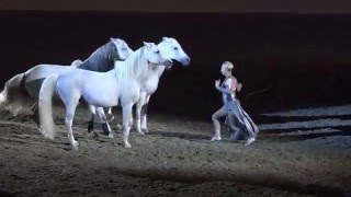 Liberty with 3 horses  Sylvia Zerbini  Night of the Horse 2016  Del Mar National Horse Show [upl. by Nnednarb]