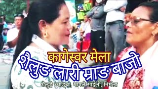 शैलुङ लारी कागेस्वरी मेला New Tamang Selo Song शैलुङ्गे च्याङ्बा गागले साईली र साथीहरु Sailung [upl. by Nnylimaj]