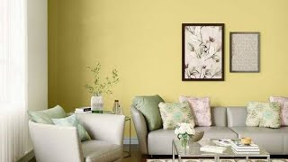 Italian Olive Asian paints Aspira colour code 7823  Wall painting SinghV131 [upl. by Vinni226]