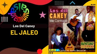 🔥EL JALEO por LOS DEL CANEY  Salsa Premium [upl. by Lyon245]