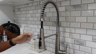 KOHLER K REC22745 SD 2MB Semi Professional Kitchen Faucet Review [upl. by Dion381]