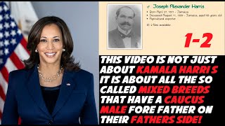 Kamala Harris Is A Child Of The Devil In The Bible If Ya Mother Is White You A Child Of GOD 12 [upl. by Tonjes]