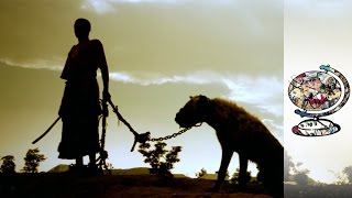 The Mysterious Nigerian Men Who Tame Wild Beasts [upl. by Sivrat163]