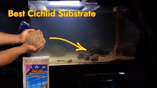 This Might Be The Best Substrate For New World Cichlids [upl. by Shanda]