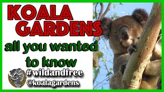 Koala Gardens  all you wanted to know [upl. by Lekram]